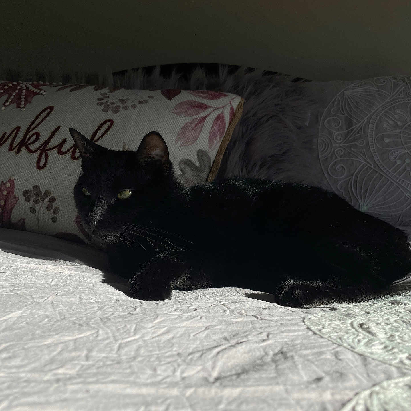Nilo