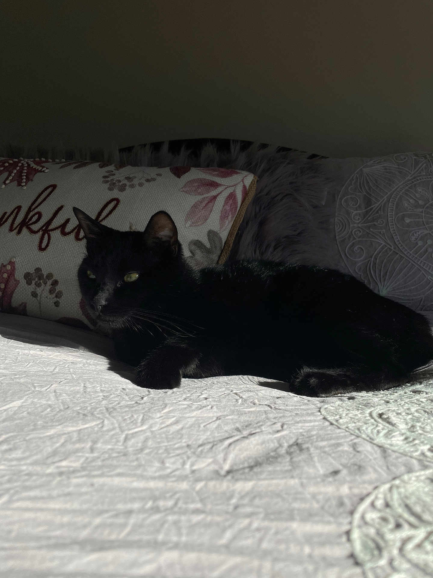 Nilo