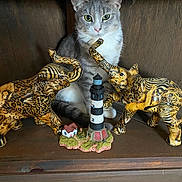 Izzy joined the competition — help win amazing prizes! animal, cat, closeup, curious_cat, decorative_elephant, elephant_statue, feline, figurine, gray_cat, gray_fur, green_eyes, home_decor, indoor, miniature_lighthouse, ornament, pet, sitting_cat, still_life, white_cat, wooden_surface