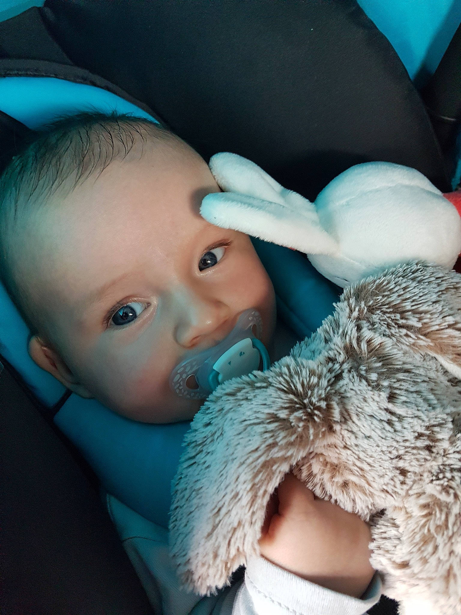 Brévann a rejoint le concours — aidez-le/la à gagner de superbes lots ! baby, blue, cheek, child, ear, eye, fur, head, lip, mouth, nose, person, photography, skin, smile, toddler, turquoise, vacation