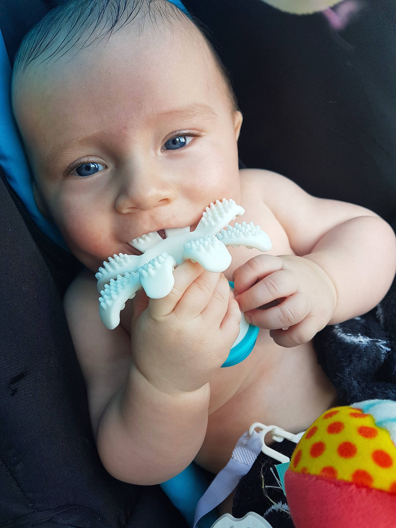 Brévann participe au concours pour gagner de l'argent avec cette photo : baby, baby_products, beauty, cheek, child, drinkware, finger, food, hand, joy, mouth, nail, nose, person, play, skin, smile, sweetness, tableware, toddler