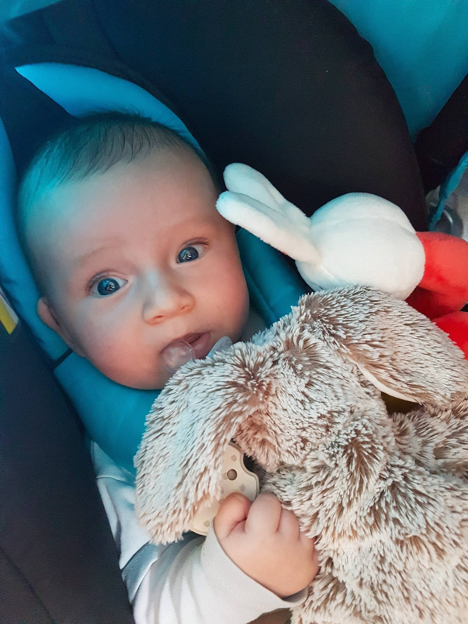 Brévann participe au concours pour gagner de l'argent avec cette photo : baby, blue, cheek, child, ear, eye, face, fur, happy, head, headgear, human, lip, nose, people, person, skin, smile, stuffed_toy, teddy_bear