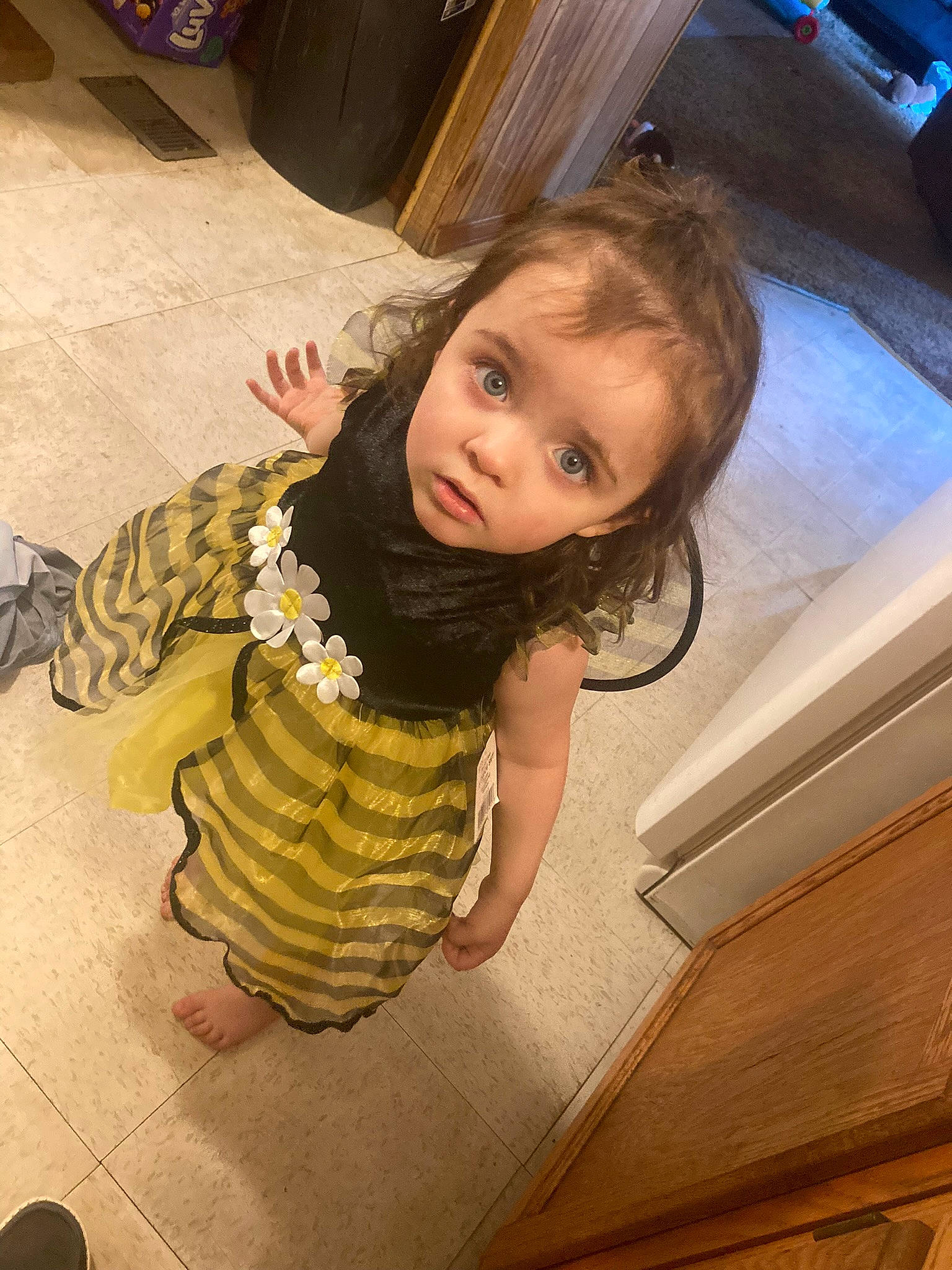 Ashlyn is registered to the contest to win money with this photo: blond, brown_hair, cheek, child, flash_photography, floor, flooring, fun, hairstyle, happy, hardwood, human_leg, long_hair, mouth, person, room, sitting, skin, thigh, toddler