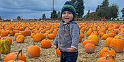 Michael is registered to the contest to win money with this photo: boy, child, clothing, face, food, head, jeans, male, nature, outdoors, pants, person, photography, plant, portrait, produce, pumpkin, squash, standing, vegetable