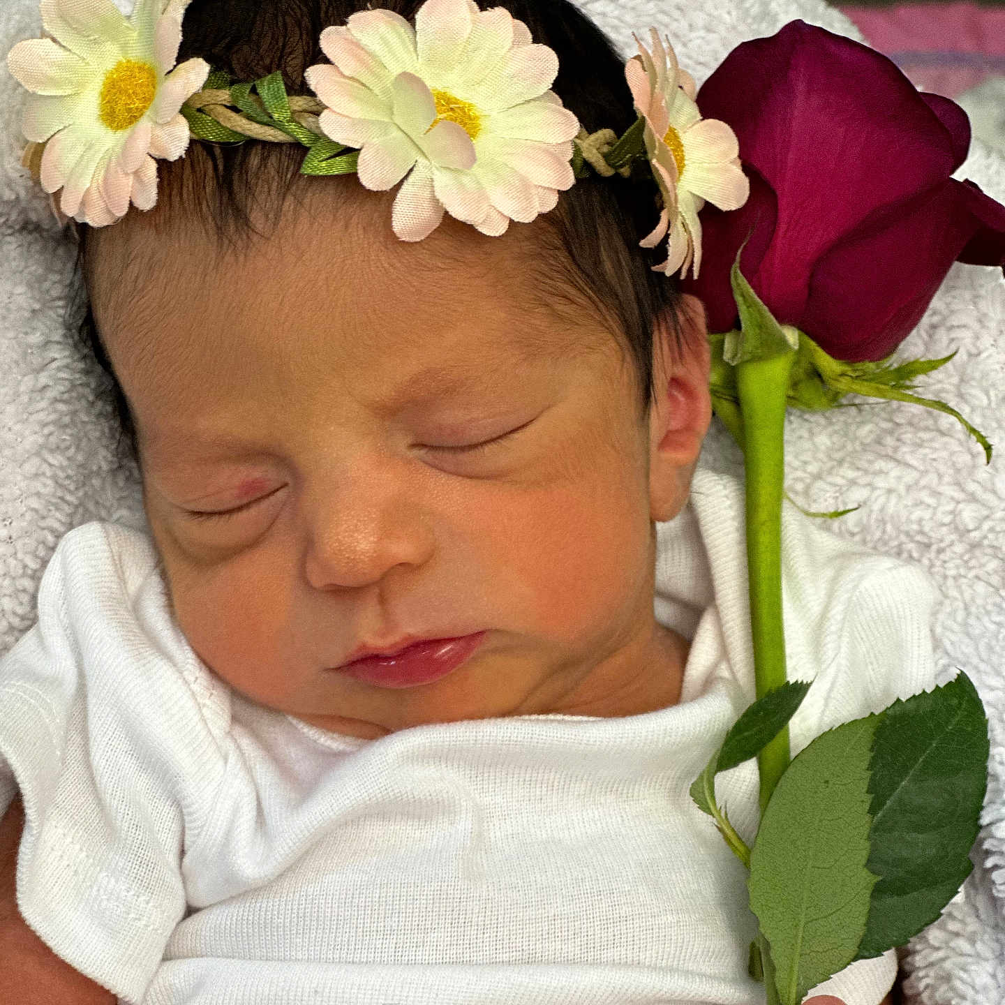 Vada joined the competition — help win amazing prizes! anemone, baby, bodypart, daisy, face, finger, flower, flowerarrangement, flowerbouquet, hand, head, leaf, newborn, person, petal, photography, plant, portrait, rose, sleeping