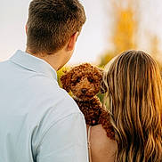 Millie Mae joined the competition — help win amazing prizes! puppy, dog, people, couple, portrait, outdoor, golden_hour, sunset, back_view, curly_fur, brown_dog, long_hair, short_hair, white_shirt, dress, arms, holding, nature, bokeh, pet