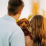 puppy, dog, people, couple, portrait, outdoor, golden_hour, sunset, back_view, curly_fur, brown_dog, long_hair, short_hair, white_shirt, dress, arms, holding, nature, bokeh, pet