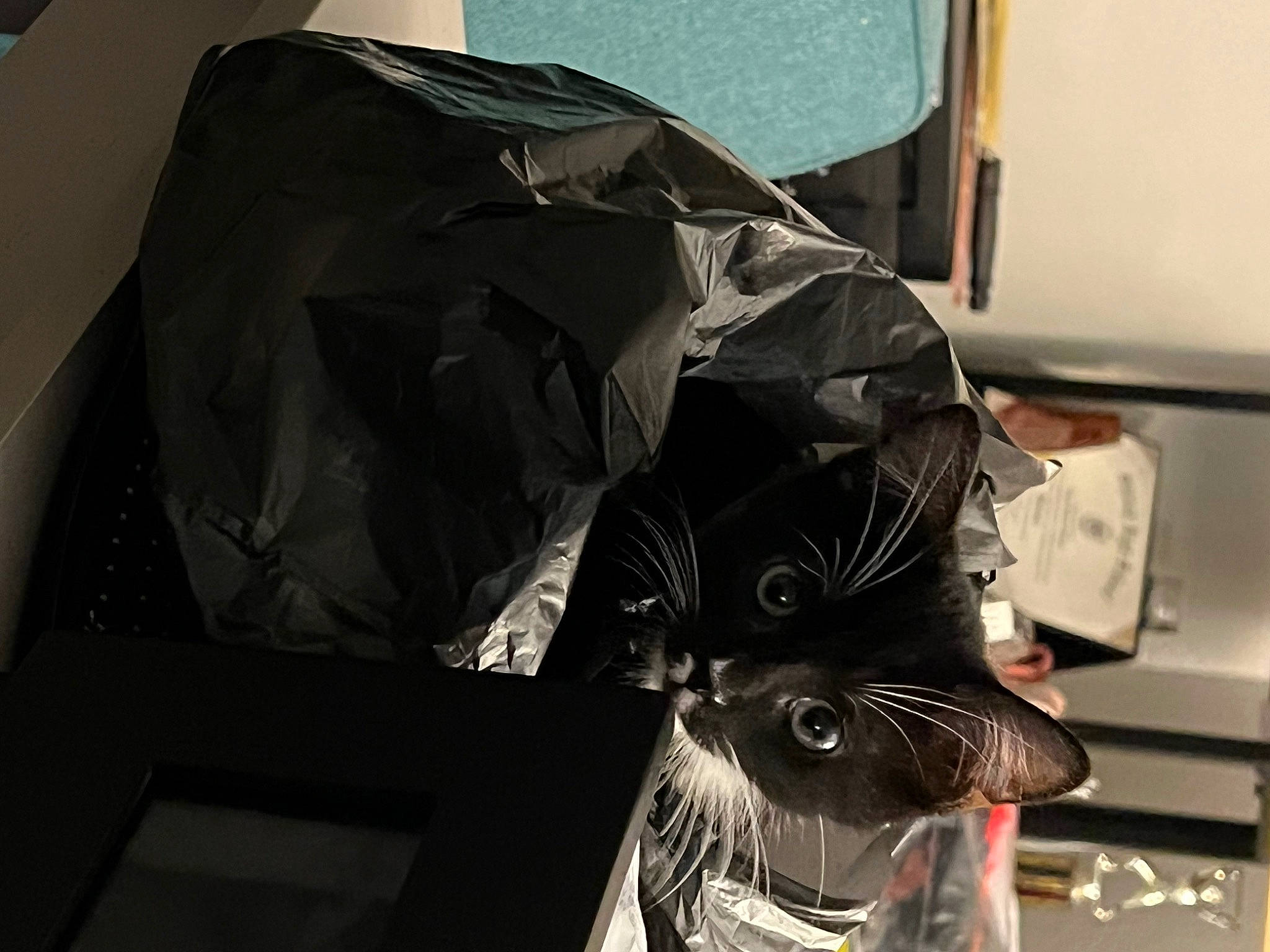 Sir Lewis Whiskers Hamilton is registered to the contest to win money with this photo: art, auto_part, automotive_design, automotive_exterior, bag, carmine, event, eyewear, fashion_accessory, fictional_character, hat, headgear, helmet, mask, paper, paper_product, personal_protective_equipment, room, t_shirt, whiskers