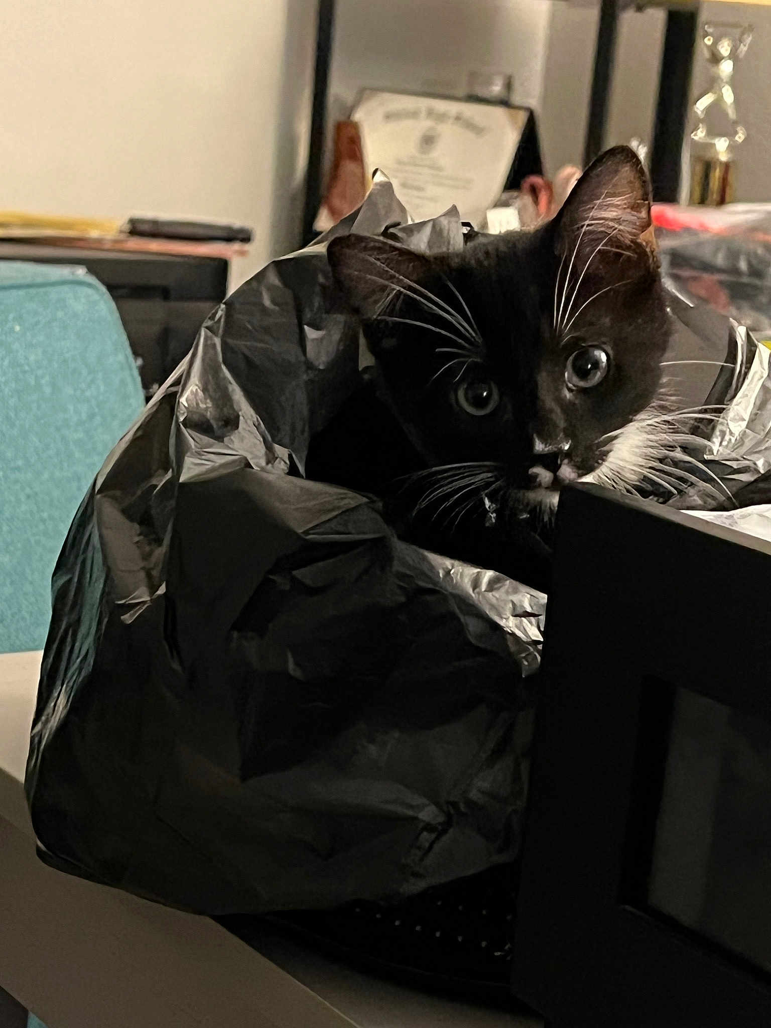 Sir Lewis Whiskers Hamilton