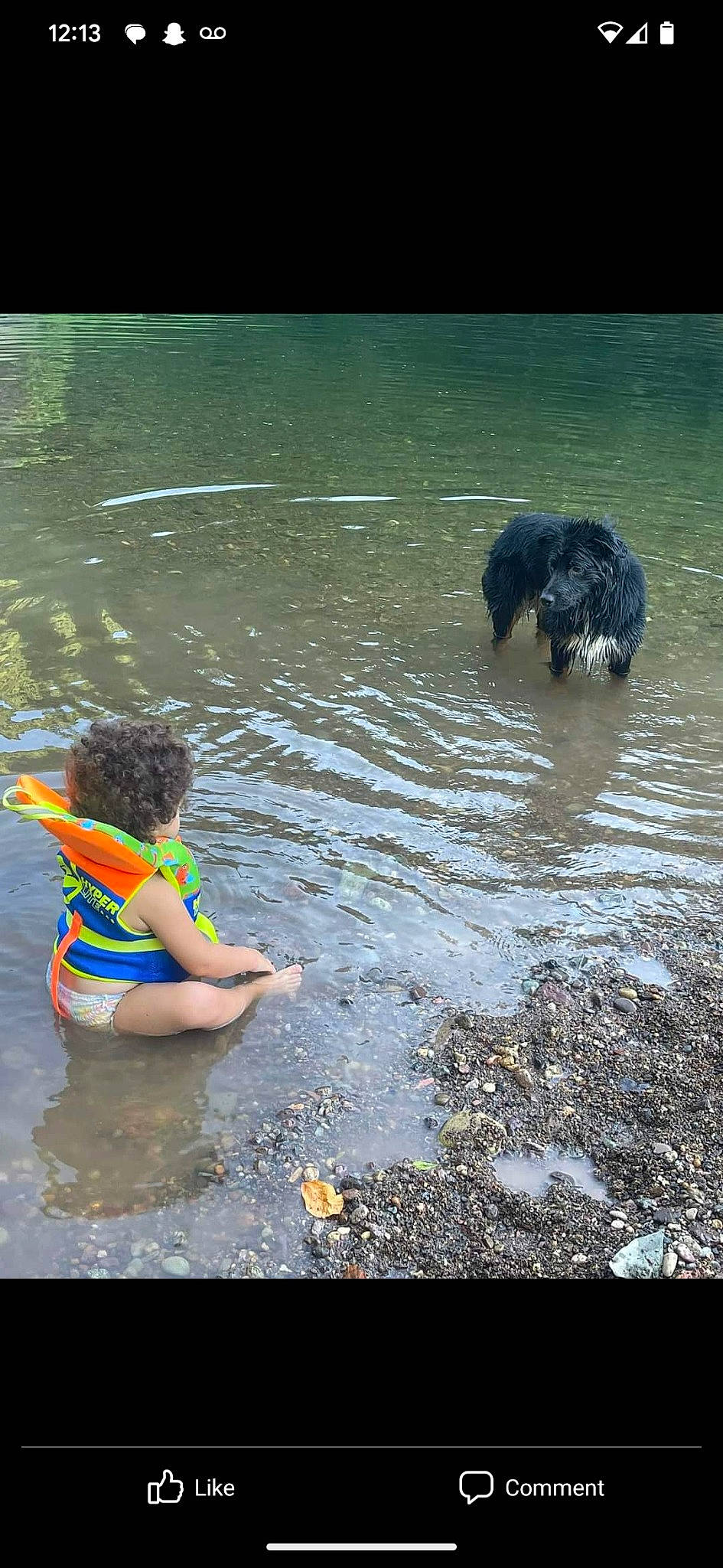 Oakley joined the competition — help win amazing prizes! barefoot, bathing, carnivore, dog, dog_breed, fun, happy, lake, leisure, people_in_nature, recreation, reflection, sporting_group, swimwear, thigh, tree, water, water_resources, watercourse, working_animal