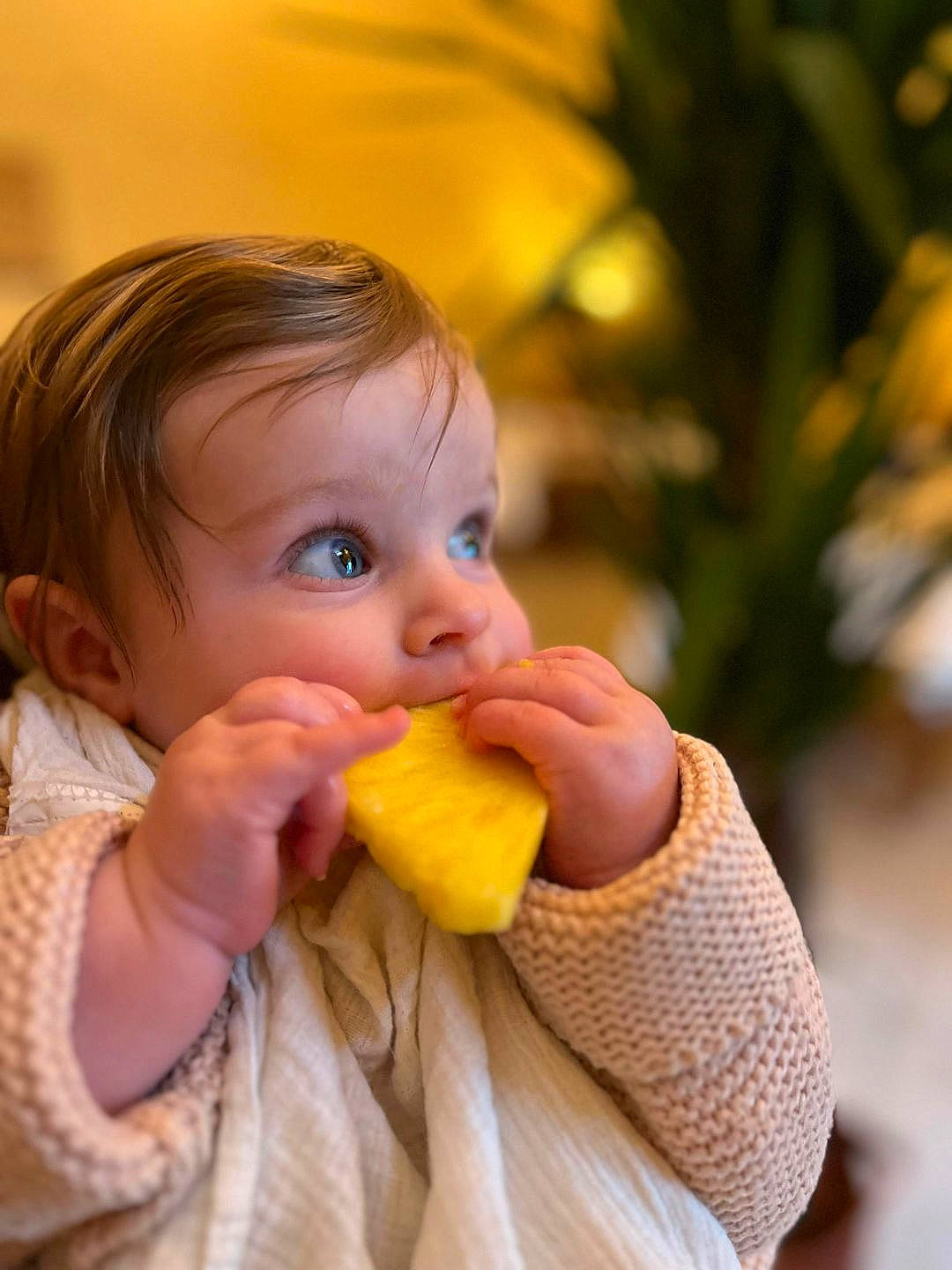 Maïa a rejoint le concours — aidez-le/la à gagner de superbes lots ! biting, child, eating, finger, food, food_craving, fruit, gesture, hand, happy, nail, natural_foods, nose, orange, people_in_nature, person, plant, produce, sweetness, thumb