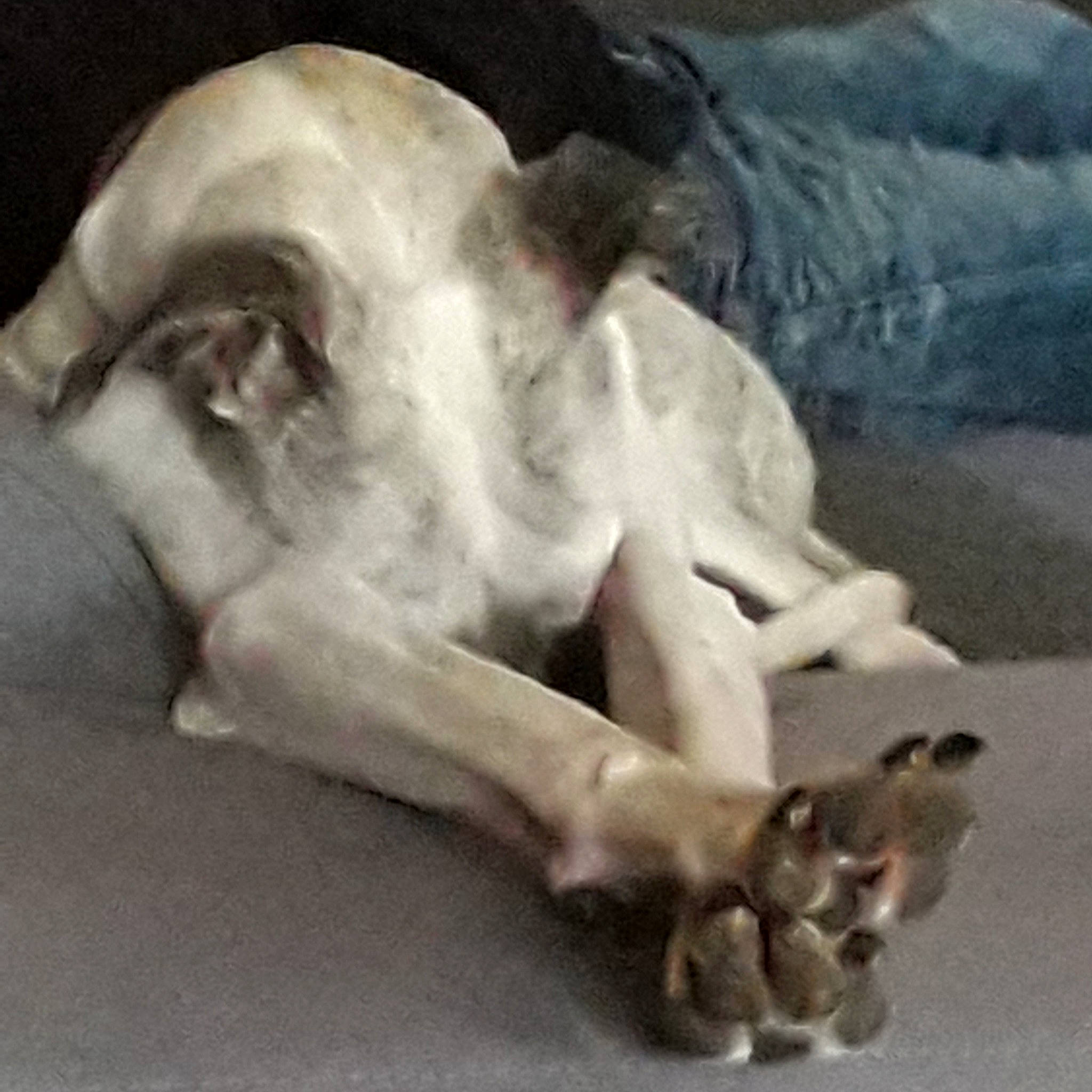 Ayana a rejoint le concours — aidez-le/la à gagner de superbes lots ! art, bored, canidae, carnivore, comfort, companion_dog, dog, dog_breed, fawn, non_sporting_group, paw, sporting_group, terrestrial_animal, working_animal