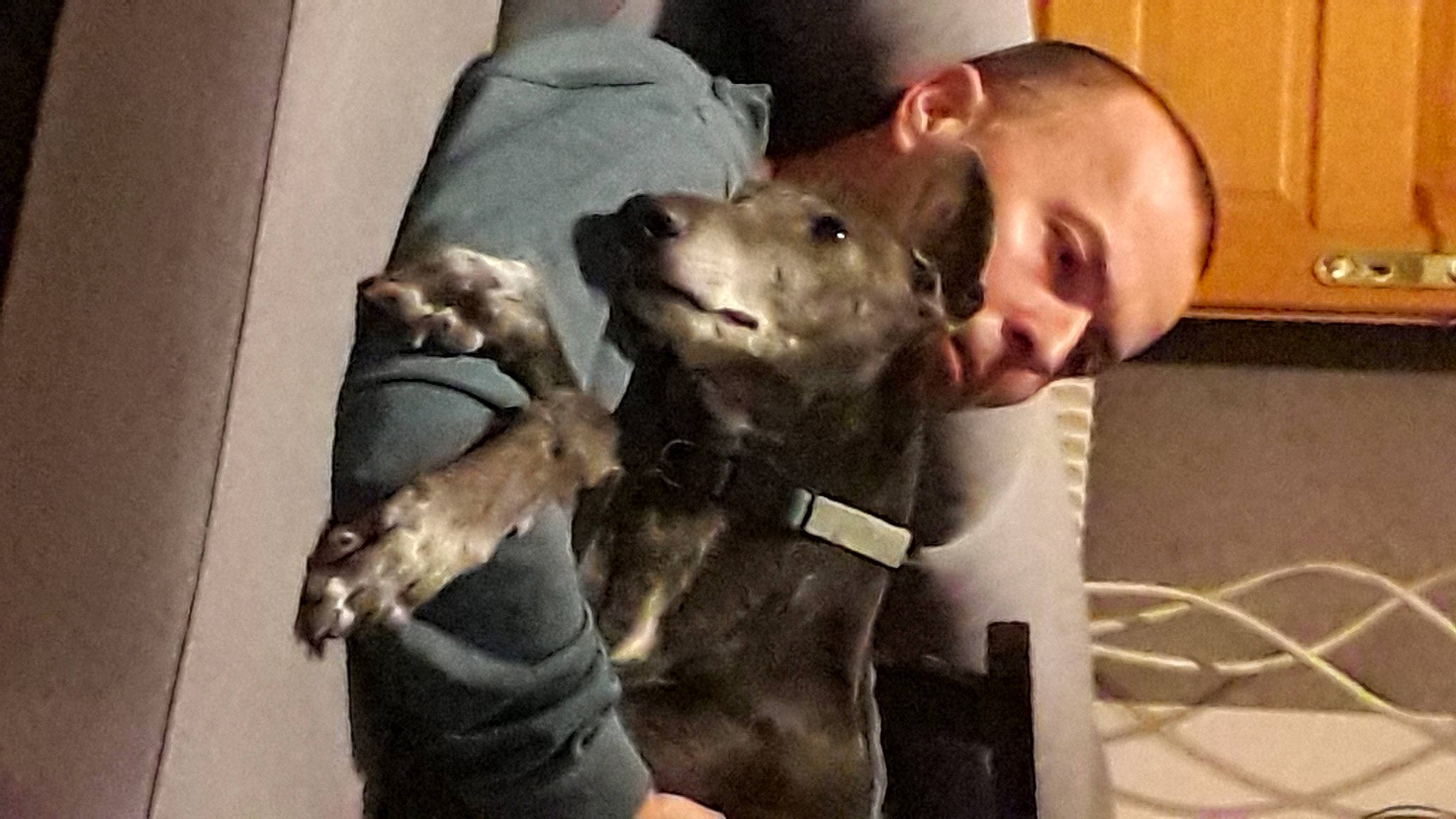 Fagan participe au concours pour gagner de l'argent avec cette photo : ancient_dog_breeds, army, canidae, carnivore, companion_dog, dog, dog_breed, fawn, fur, guard_dog, mammal, military, non_sporting_group, puppy, selfie, snout, sporting_group, working_animal