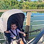 Martina participe au concours pour gagner de l'argent avec cette photo : baby, stroller, outdoor, smiling, child, sunlight, wooden_deck, water, nature, greenery, happy, safety_harness, infant, summer, park, person, playful, cute, daylight, relaxing