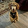 Oliver