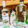 kitten, cat, glass, bottle, alcohol, bacardi, el_jimador, table, wood, ceramic, rooster, decor, indoor, curious, black_and_white, collar, drink, closeup, still_life, pets
