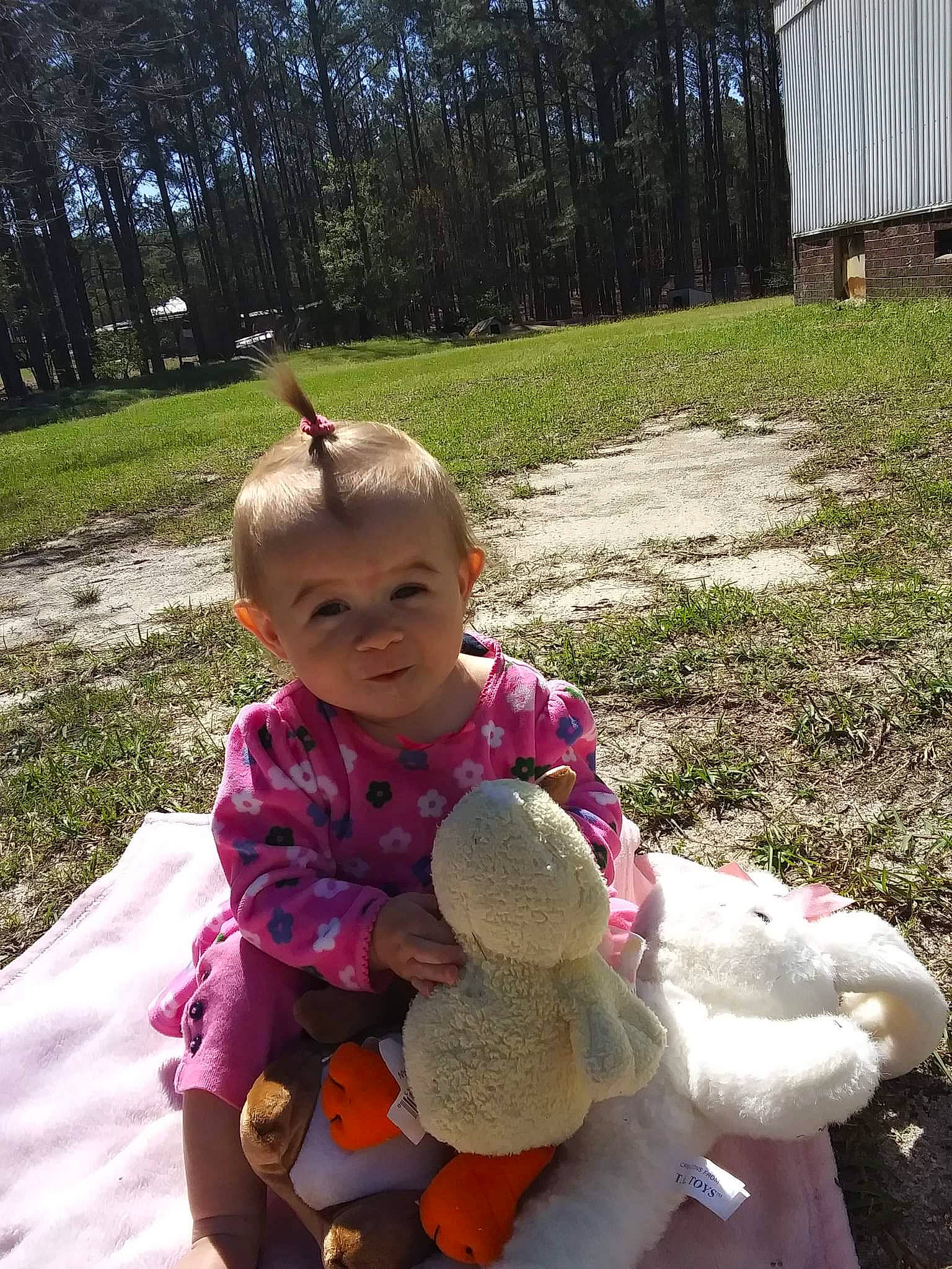 Karolina is registered to the contest to win money with this photo: baby, baby_toddler_clothing, botany, fawn, fun, grass, happy, leaf, leisure, people_in_nature, person, pink, plant, recreation, smile, spring, stuffed_toy, teddy_bear, toddler, toy