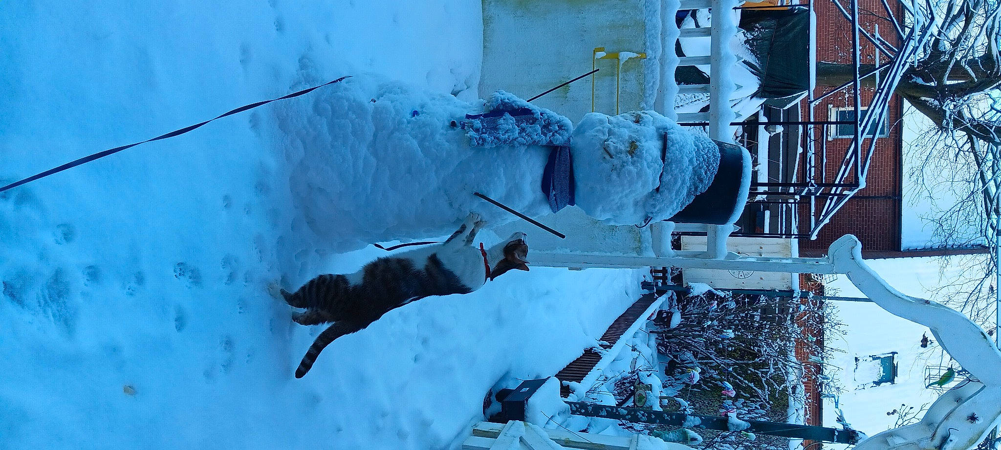 Grizzly a rejoint le concours — aidez-le/la à gagner de superbes lots ! art, building, event, freezing, frost, geological_phenomenon, glacial_landform, ice, ice_cap, machine, precipitation, recreation, slope, snow, water, window, winter, winter_storm