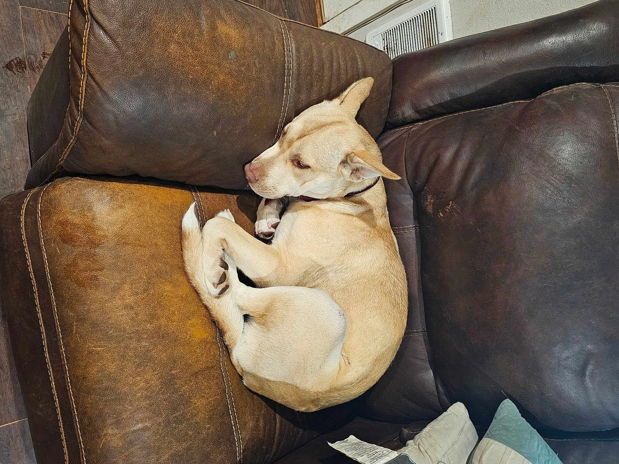 Nala