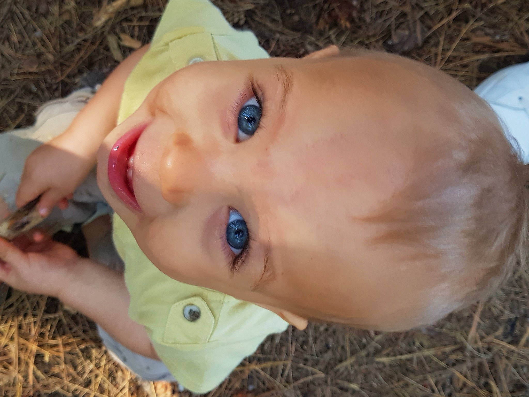 Elyo participe au concours pour gagner de l'argent avec cette photo : baby_toddler_clothing, cheek, chin, clothing, eye, eyebrow, eyelash, face, facial_expression, forehead, happy, head, iris, lip, mouth, neck, nose, person, plant, skin