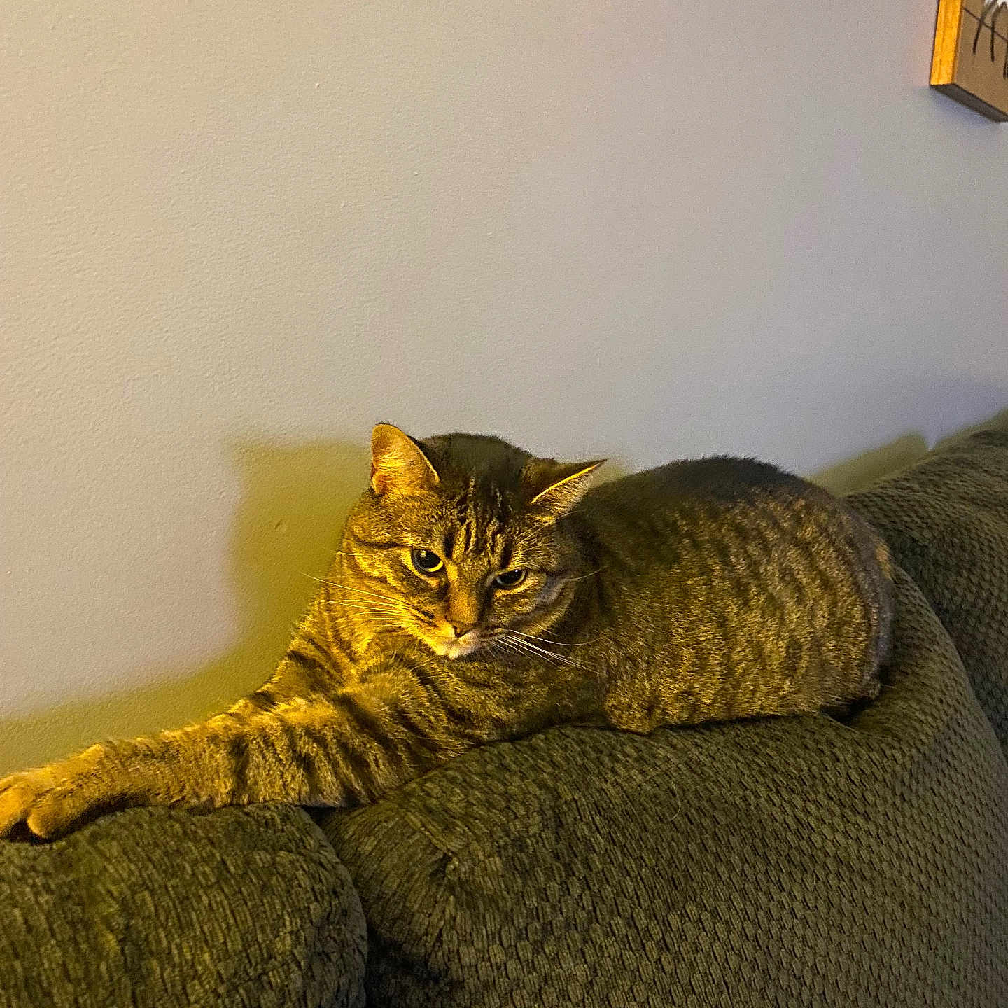 Finn