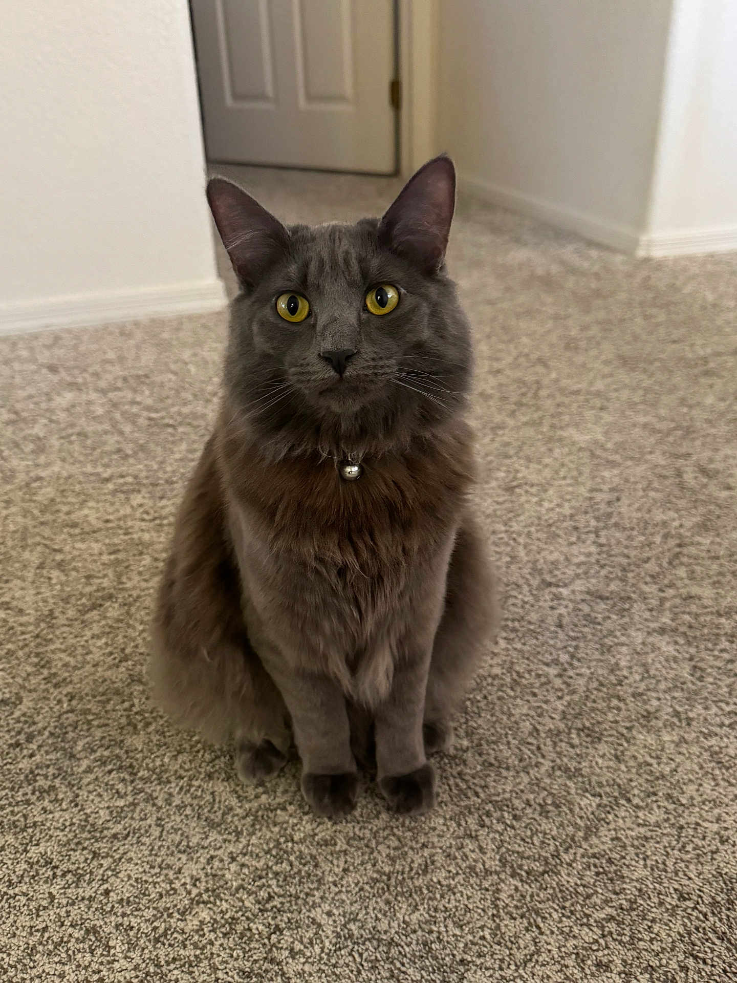 Tom