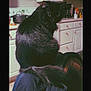 black_cat, cat, pet, feline, fur, animal, indoor, kitchen, appliance, microwave, coffee_maker, countertop, cabinet, drawer, tail, jacket, sitting, looking, domestic, cozy