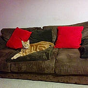 O'malley participe au concours pour gagner de l'argent avec cette photo :