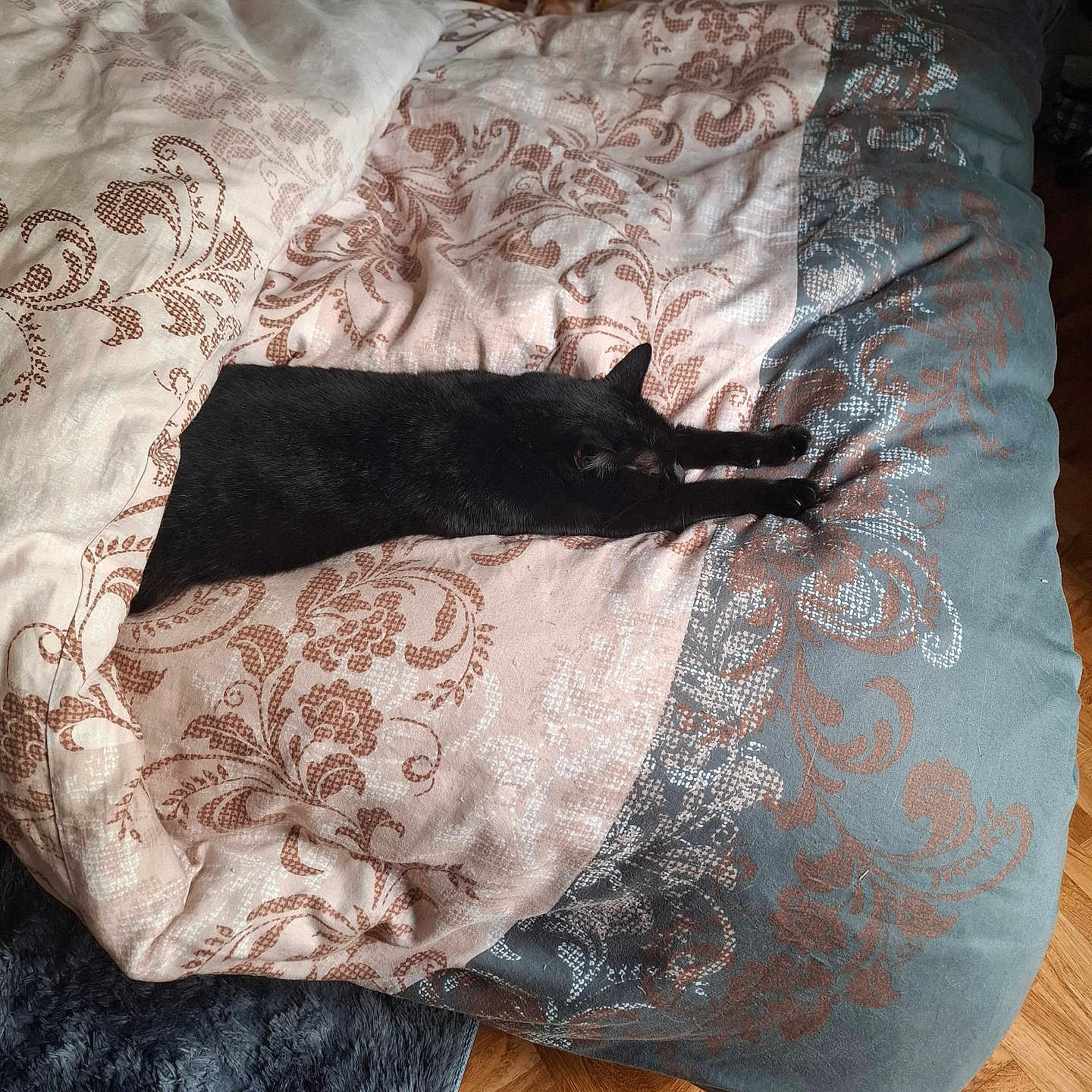 Elemir participe au concours pour gagner de l'argent avec cette photo : animal, bed, black_cat, blanket, cat, comfort, cozy, domestic_animal, fur, home, indoor, orange_cat, pattern, pet, relaxation, rest, sleeping, stretching, textile, wood_floor