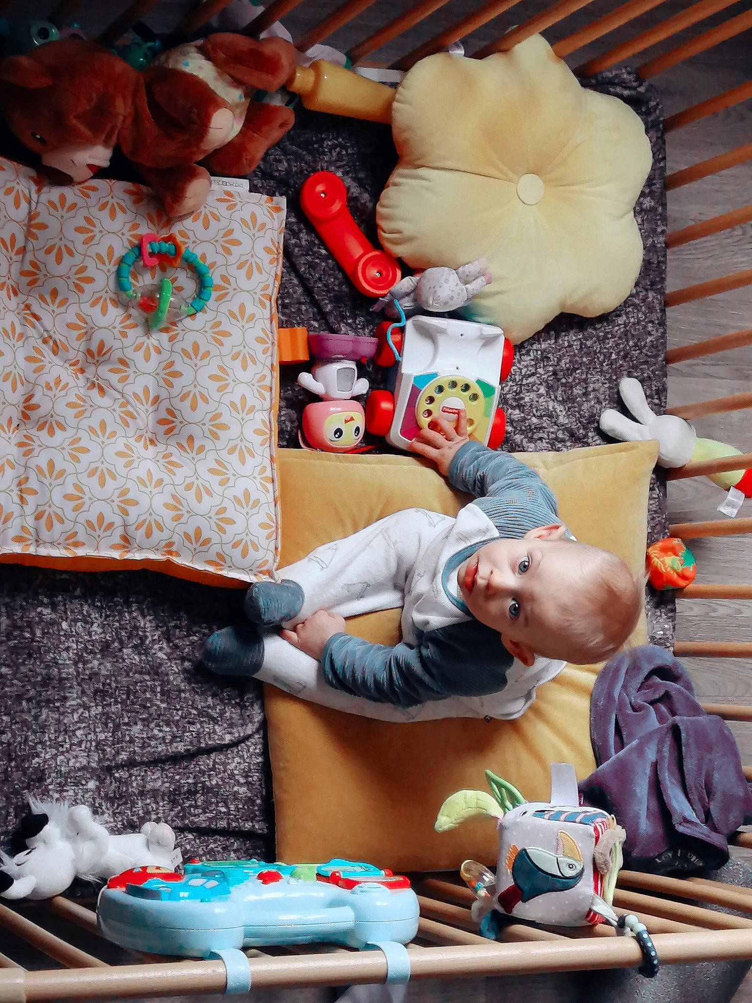 Tony participe au concours pour gagner de l&#x27;argent avec cette photo : art, bag, child, event, fun, leisure, linens, luggage_and_bags, orange, pattern, people, person, room, shorts, sitting, stuffed_toy, surprise, t_shirt, textile, toy