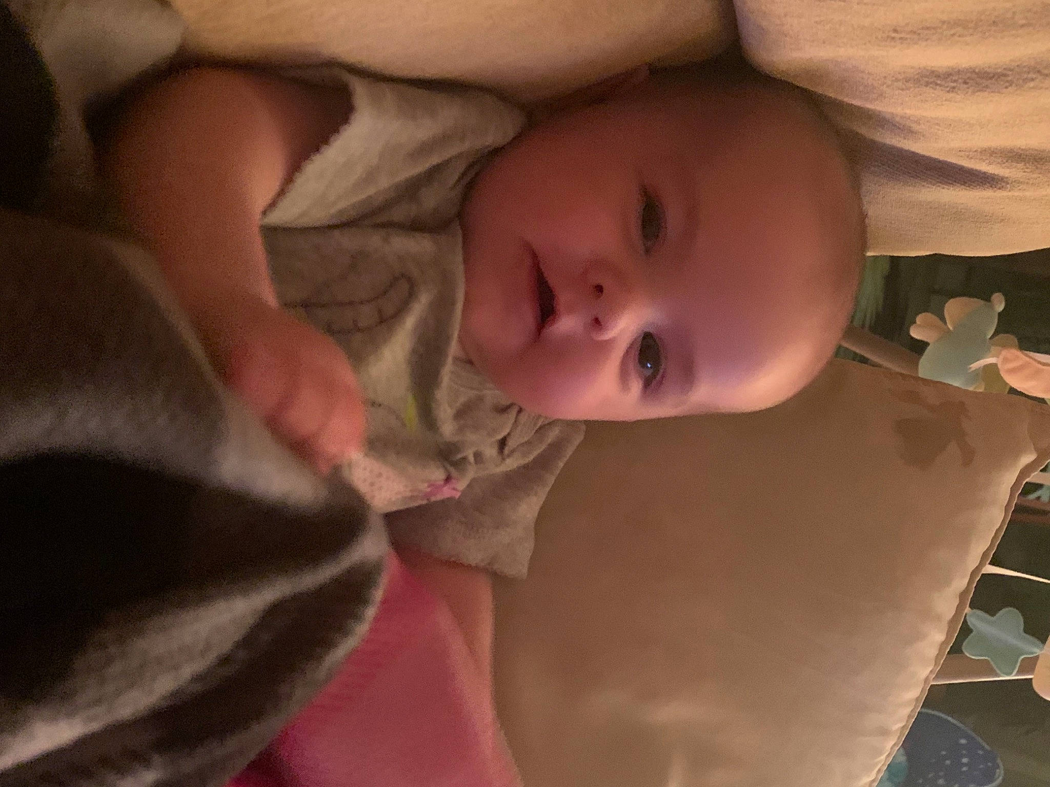 Jaide is registered to the contest to win money with this photo: arm, baby, baby_toddler_clothing, cheek, child, comfort, ear, eyebrow, eyelash, finger, headgear, human_body, iris, lip, mouth, neck, nose, person, skin, smile