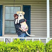 Motto is registered to the contest to win money with this photo: building, child, facade, fun, garden, grass, happy, house, lawn_ornament, leisure, mammal, plant, shrub, siding, sitting, t_shirt, teddy_bear, wall, window, wood