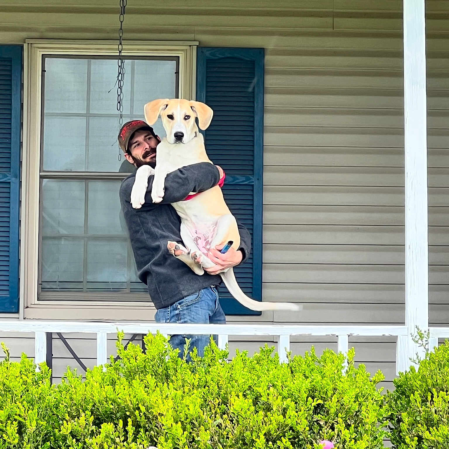 Motto is registered to the contest to win money with this photo: building, child, facade, fun, garden, grass, happy, house, lawn_ornament, leisure, mammal, plant, shrub, siding, sitting, t_shirt, teddy_bear, wall, window, wood