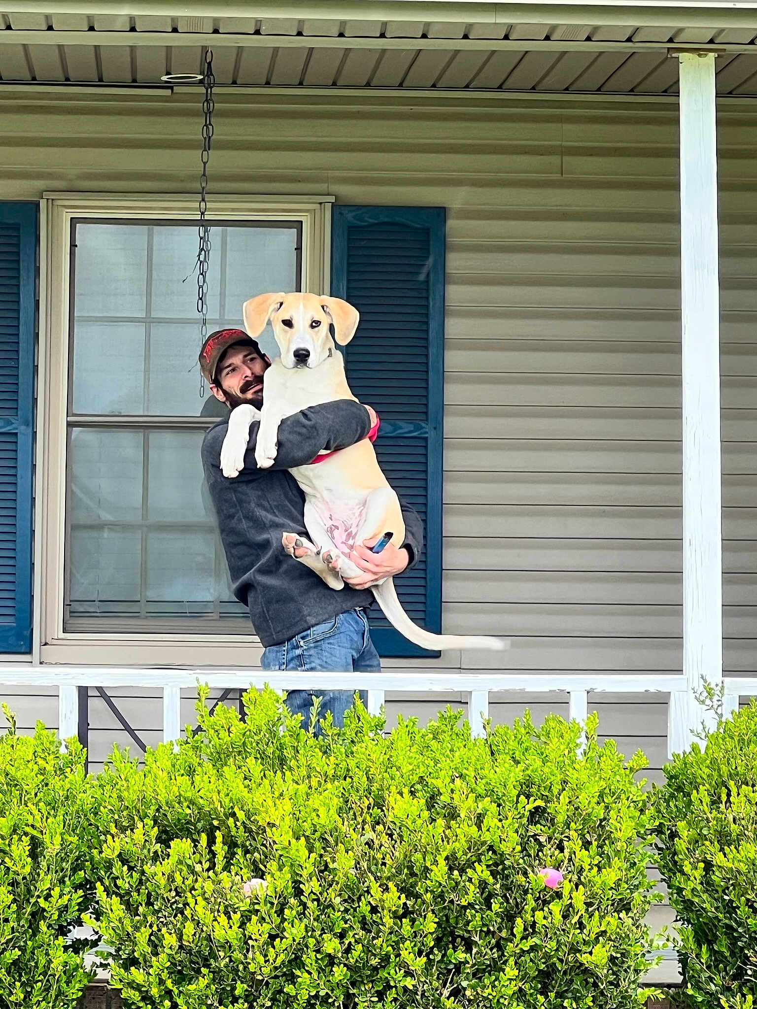 Motto is registered to the contest to win money with this photo: building, child, facade, fun, garden, grass, happy, house, lawn_ornament, leisure, mammal, plant, shrub, siding, sitting, t_shirt, teddy_bear, wall, window, wood