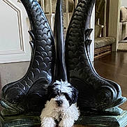 Oliver joined the competition — help win amazing prizes! puppy, dog, black_and_white, fluffy, sculpture, fish_sculpture, indoor, wooden_floor, decor, art, home, stairs, carpeted_stairs, pet, animal, cute, small, furniture, living_room, statue