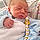 Alessio