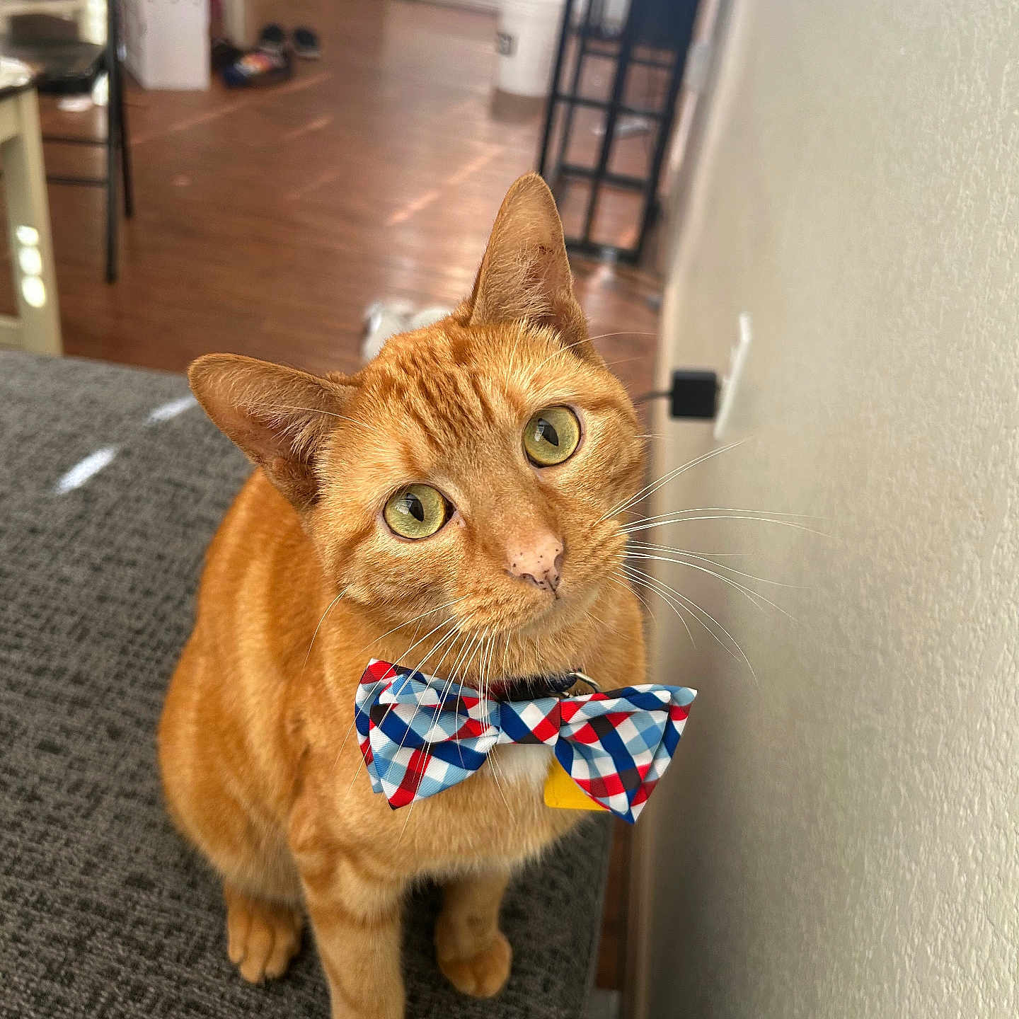 Ruben