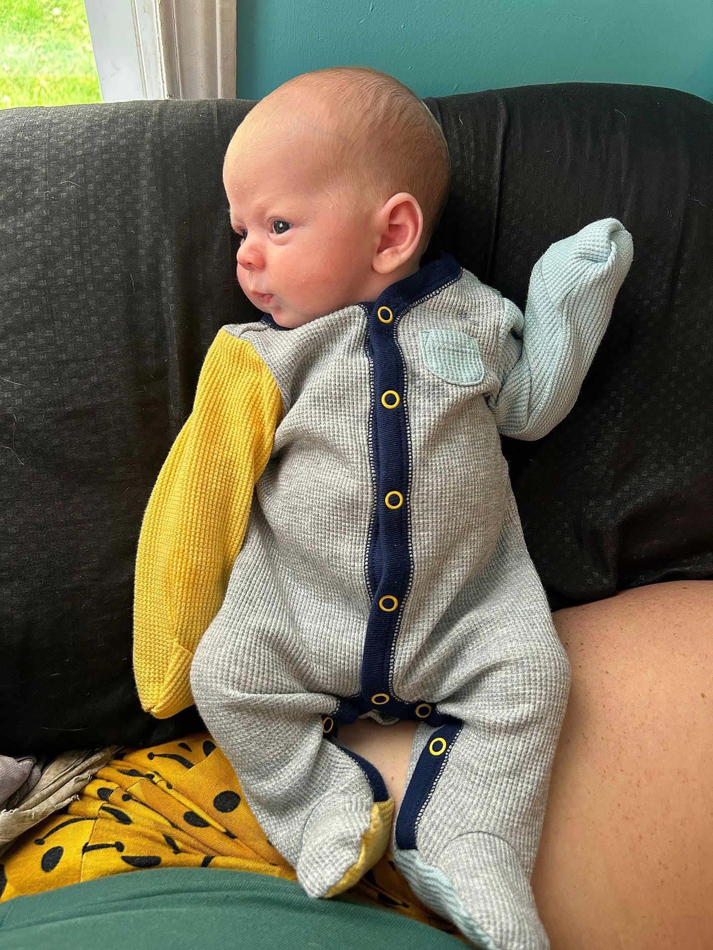 Oakley is registered to the contest to win money with this photo: baby, infant, onesie, clothing, person, indoor, couch, window, curious, child, sitting, lap, yellow_sleeve, blue_trim, skin, head, face, button, fabric, cozy