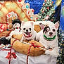 dog, small_dog, white_dog, christmas, holiday, festive, pet_bed, snowman, decorations, christmas_tree, candy_cane, collar, tongue_out, cute, cozy, indoor, background, colorful, portrait, animal