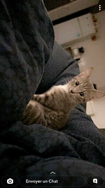 Haïko