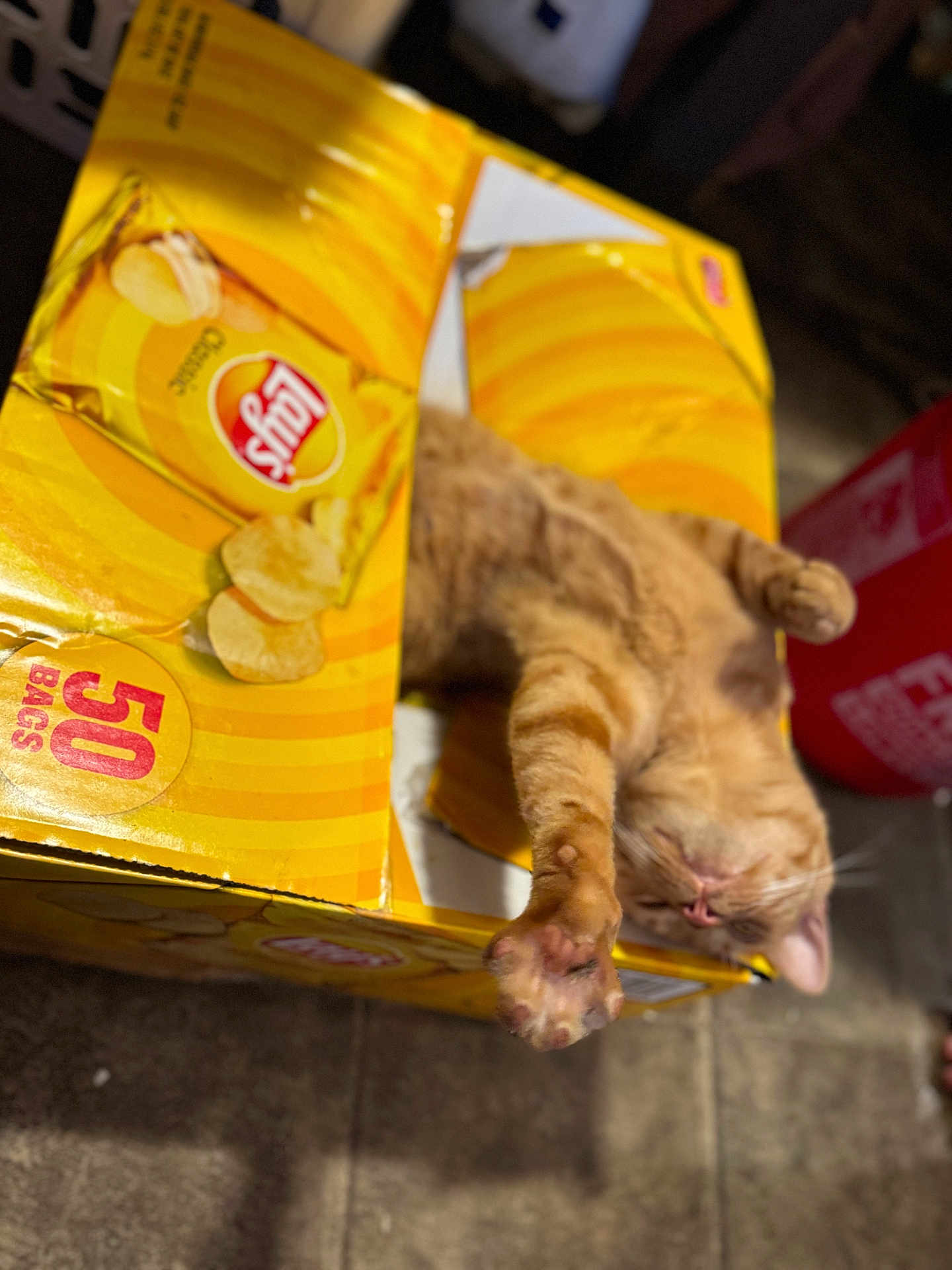 Jackjack joined the competition — help win amazing prizes! cat, orange_tabby, lay's_box, potato_chips, cardboard_box, stretching, paw, relaxed, pet, indoor, floor, yellow, snack_packaging, tabby_fur, cute, sleeping, feline, cozy, domestic_cat, playful