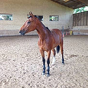 Acrostiche participe au concours pour gagner de l'argent avec cette photo :