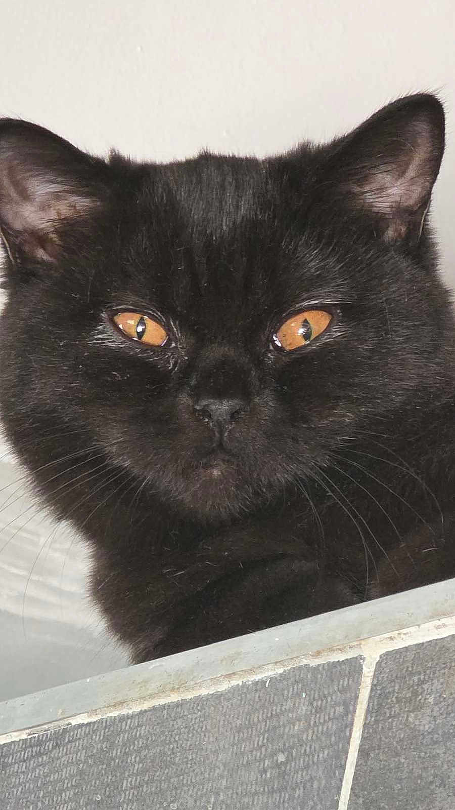 Azu