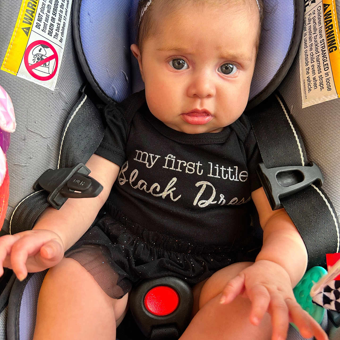 Winter is registered to the contest to win money with this photo: accessories, baby, bodypart, car, car_interior, carseat, clothing, cushion, electronics, face, finger, hand, head, homedecor, person, photography, portrait, t_shirt, transportation, vehicle