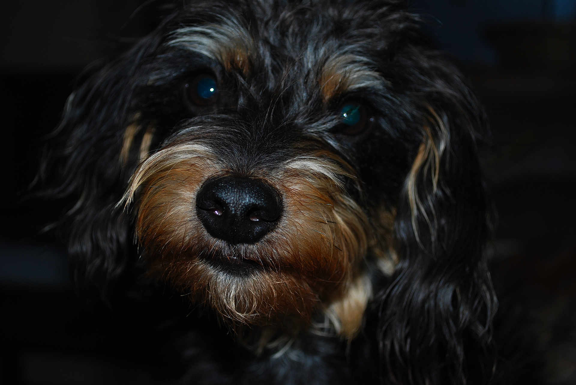 Nora