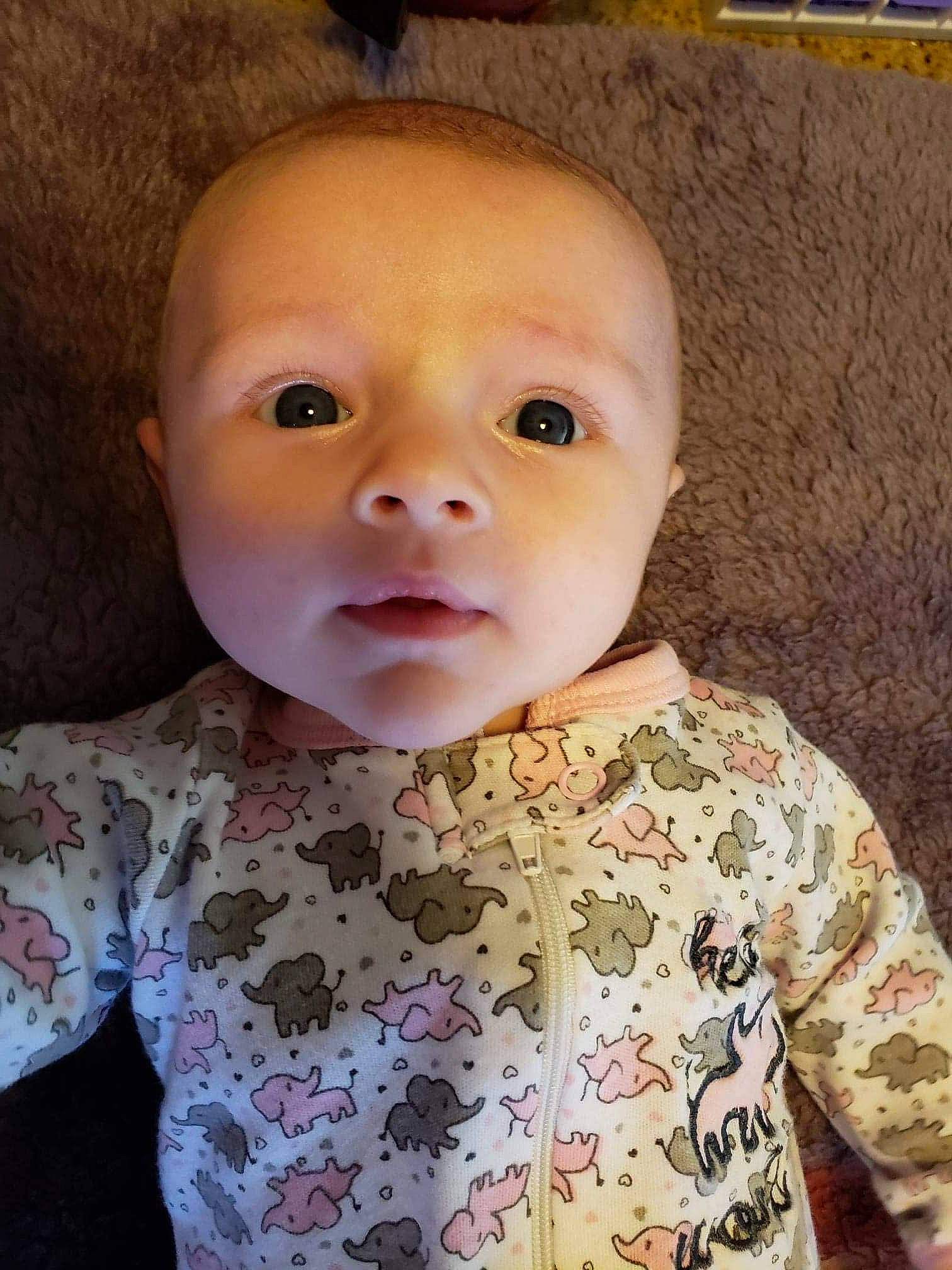 Evelynn joined the competition — help win amazing prizes! baby, cheek, child, chin, eye, face, forehead, head, lip, mouth, nose, person, skin, smile, toddler