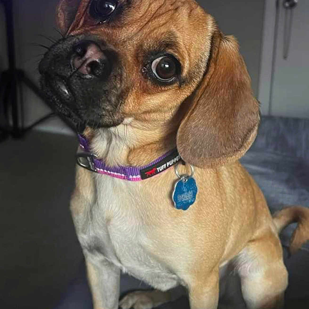 Lilly Marie