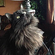 Bella Baby is registered to the contest to win money with this photo: