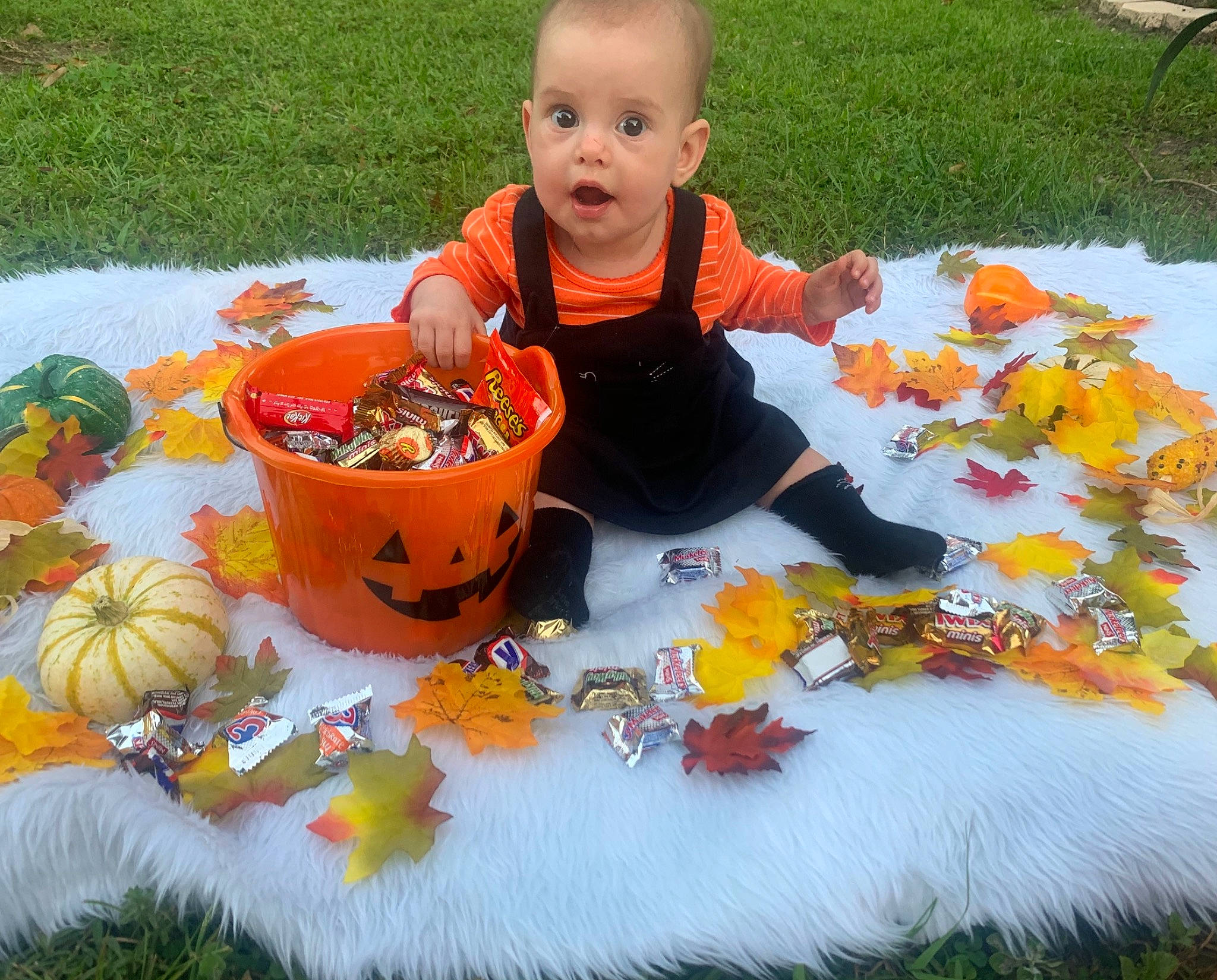 Aurelia joined the competition — help win amazing prizes! baby_toddler_clothing, botany, calabaza, child, cucurbita, fun, garden, gourd, grass, groundcover, leaf, natural_foods, orange, person, plant, pumpkin, squash, surprise, toddler, vegetable