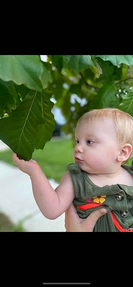 Amiliana is registered to the contest to win money with this photo: baby, baby_products, child, flower, green, leaf, organism, person, photography, plant, product, skin, smile, toddler, tree